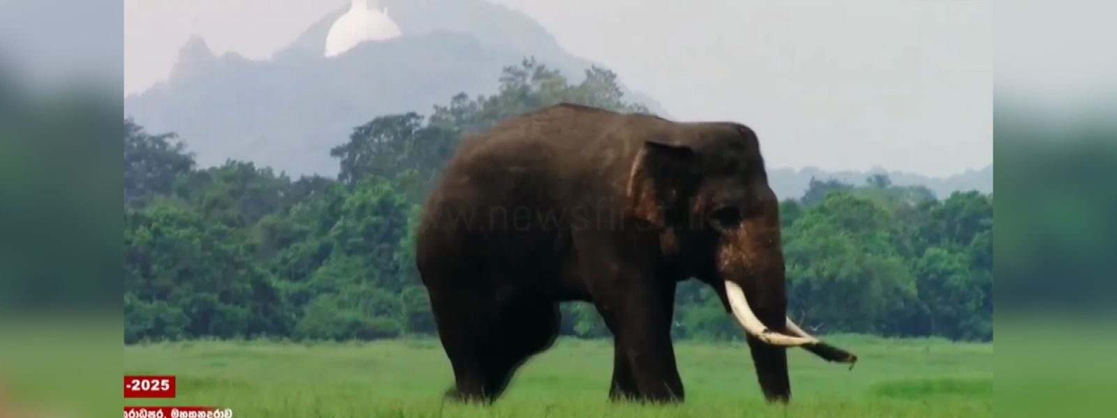 Army Deploys 30-Member Team To Locate Tusker 'Agbo
